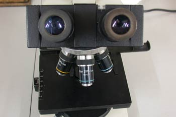 Oculares de un microscopio