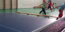 ping-pong 14