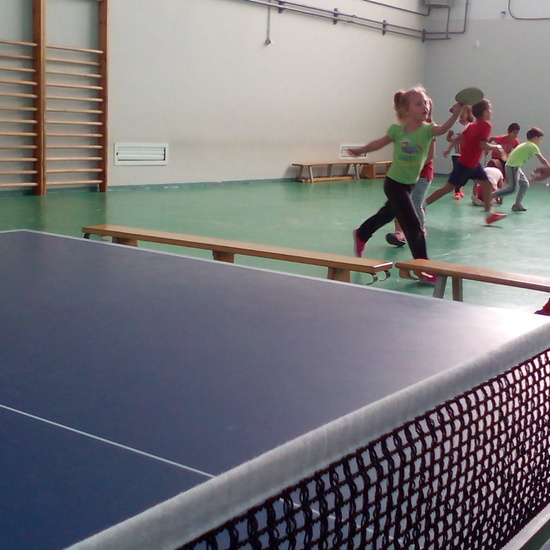 ping-pong 14