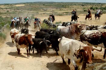 Encierro en la raya luso-española, Portugal