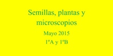 Semillas, plantas y microscopios
