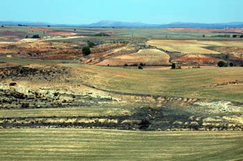 Campos de Castilla y León