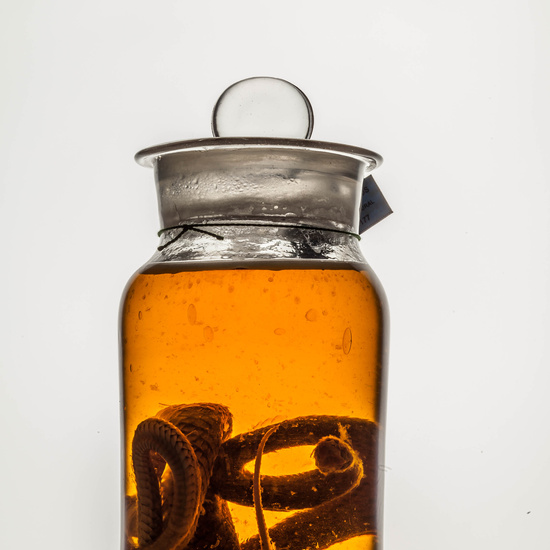 IES_CARDENALCISNEROS_CIENCIASNATURALES_261