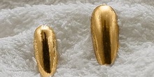 Uñas de oro