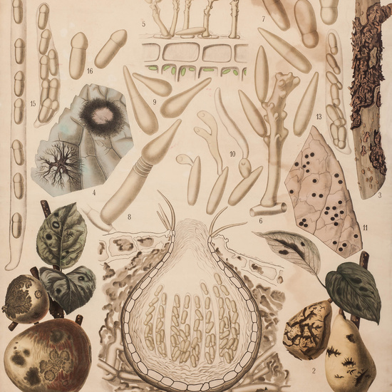 IES_SANISIDRO_LAMINAS_046