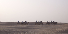 Paseo en camello, Douz, Túnez