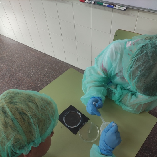 Día 3 - retirando los huevos vacíos 