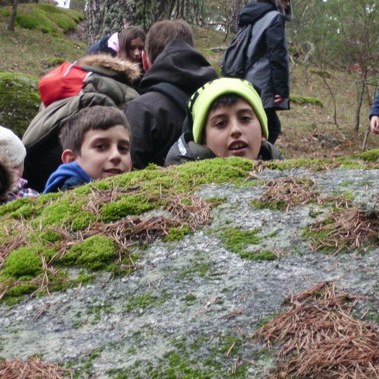 6º CERCEDILLA 2019 2.- 36