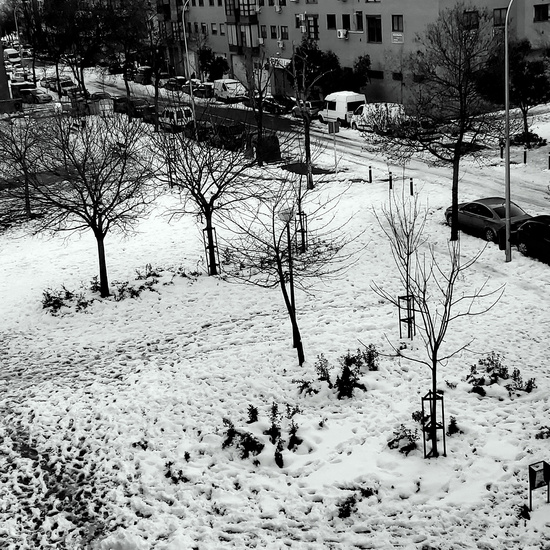 Fotografías Filomena 19