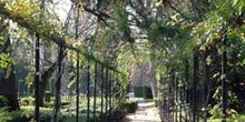 Pérgola, Parque del Capricho, Madrid