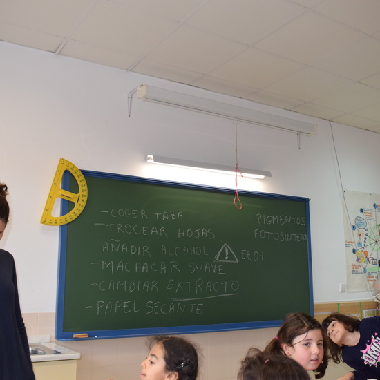 Taller de ciencias con padres 23