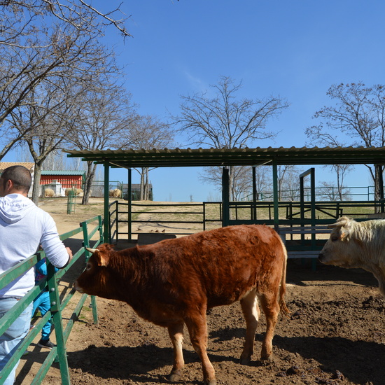 GRANJA ESCUELA ALBITANA 2018 6