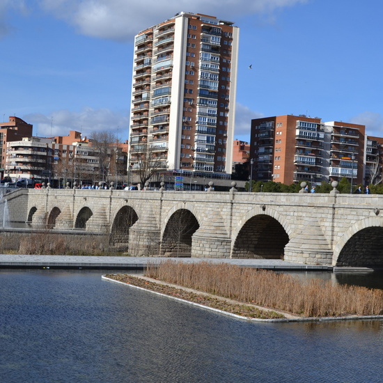 DÍA DE LA PAZ 2019 4