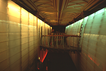 Pasillo del Museo Nacional de Historia Natural de Londres, Ingla