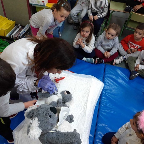 25F_dia_coclear (15)