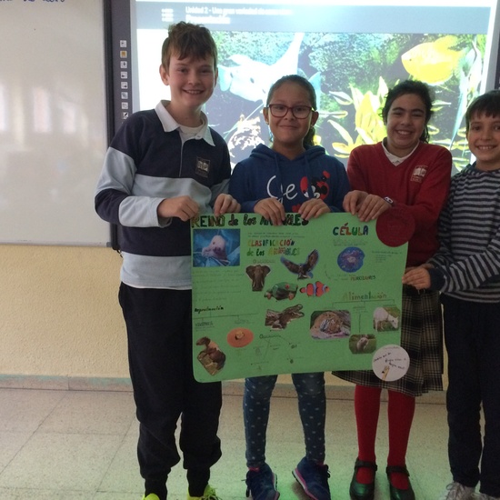 Quinto B_Aprendizaje Cooperativo en CCNN 8