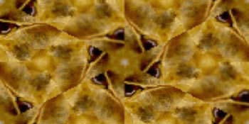 Fantasía de semillas en macro