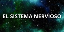 El sistema nervioso