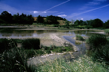 Vista general del humedal de la Charca de Zeluán, Gozón, Princip
