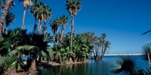 San José del Cabo; Baja California Sur