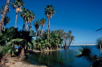 San José del Cabo; Baja California Sur