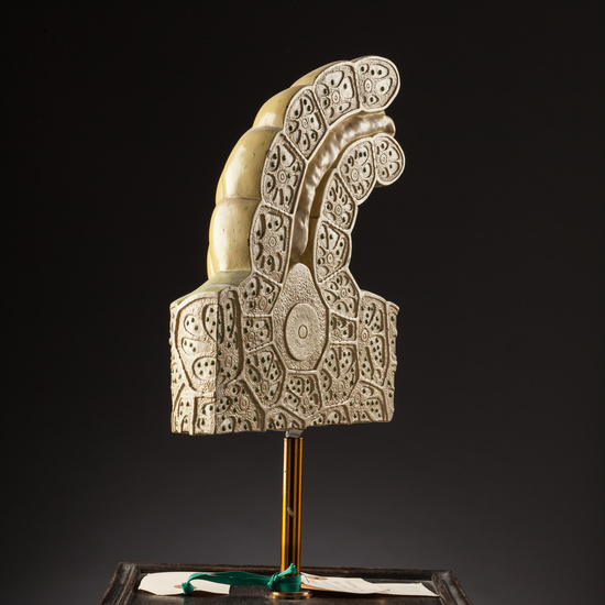 IES_SANISIDRO_BIOLOGIA_155