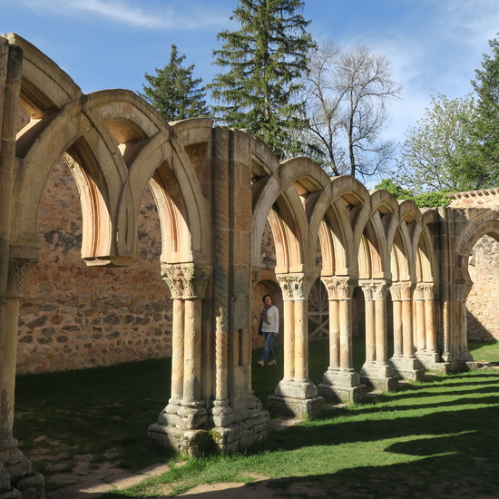 Soria San Juan de Duero (17)