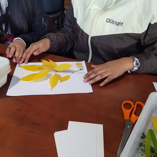 Instituto Nacional de Investigación y Tecnología Agraria 2019 (4ºESO) 15