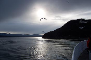 Gaviota, Parque de las Islas del Golfo, Victoria