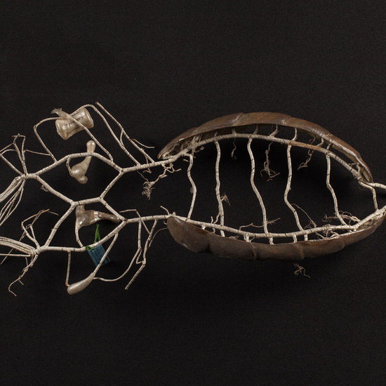 IES_CARDENALCISNEROS_ZOOLOGIA_II_MODELOS_022