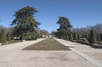 Paseo en el Parque del Retiro, Madrid