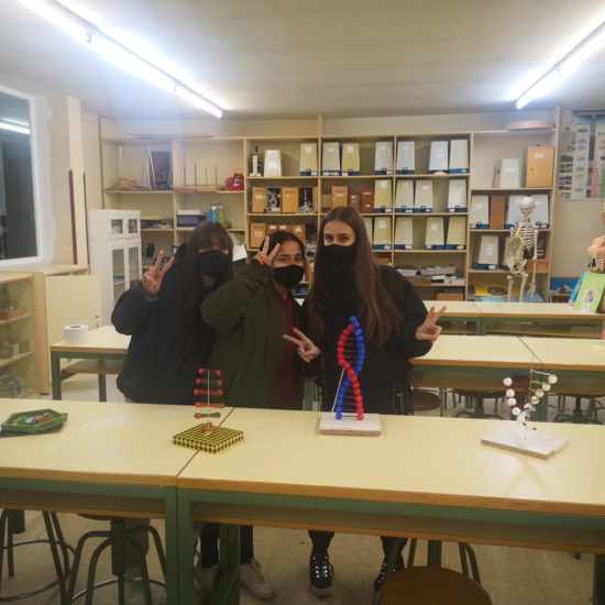 Alumnos con maquetas de ADN 