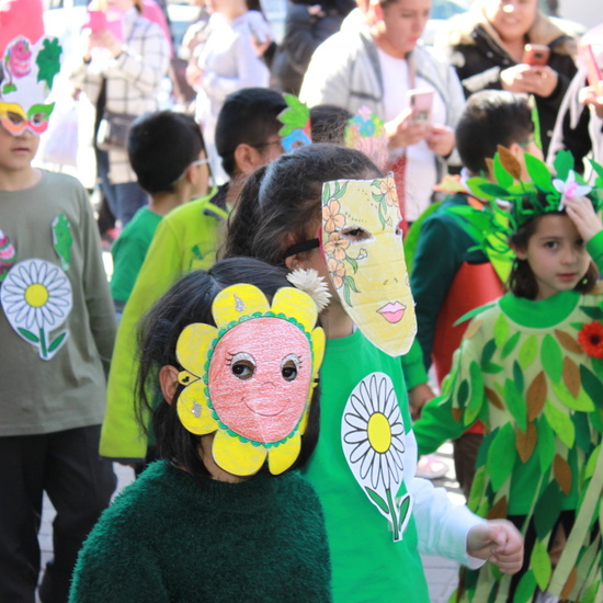 CARNAVAL 2020 - WEB 7