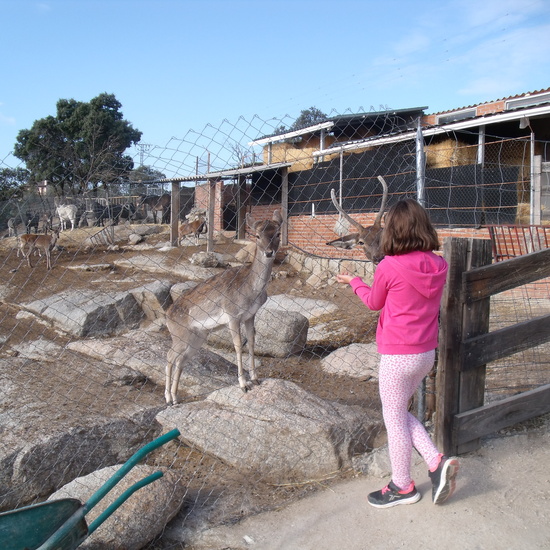 NOCHE MÁGICA 2019 (3ª parte) 18