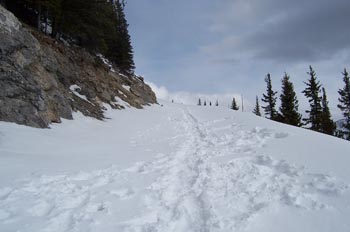 Montaña Sulphur