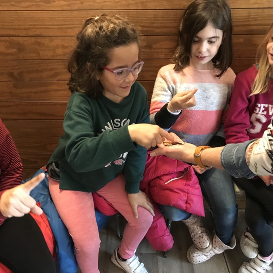 2020_02_27_3º visita Insectpark (4)_CEIP FDLR_Las Rozas 5