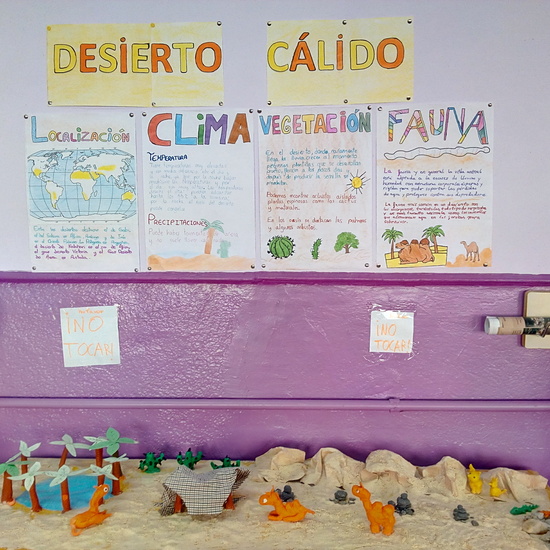 ECOSISTEMAS 5º CURSO 13