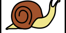 caracol