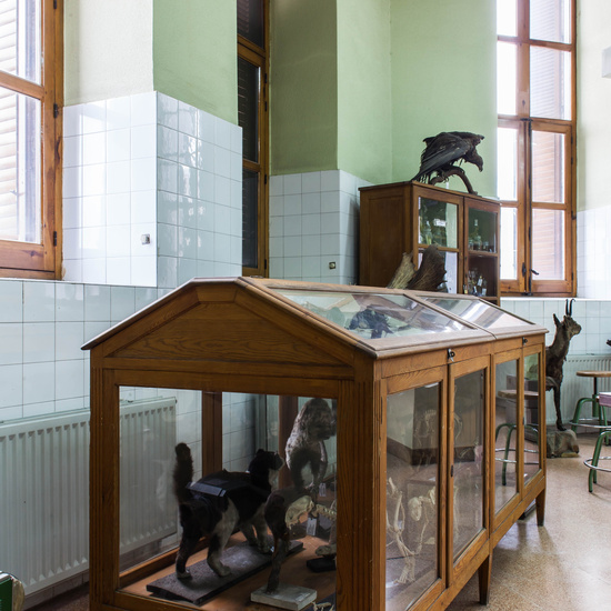 IES_CERVANTES_EDIFICIO_043