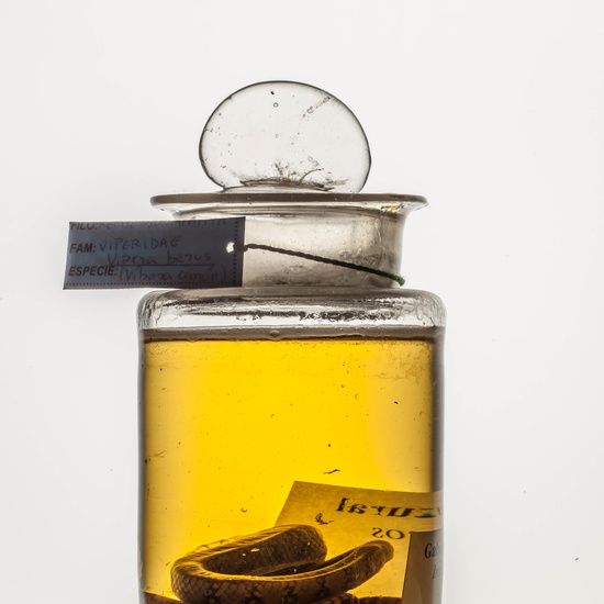 IES_CARDENALCISNEROS_CIENCIASNATURALES_244