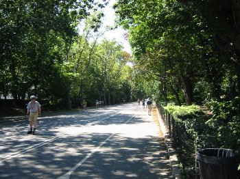 Patinando en Central Park
