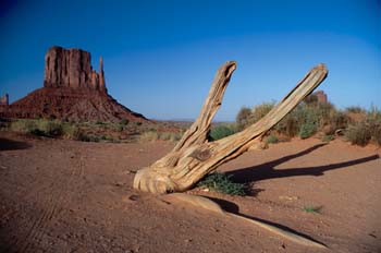 Monument Valley, Arizona