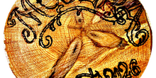 Modera SLL - Logo