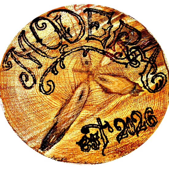 Modera SLL - Logo