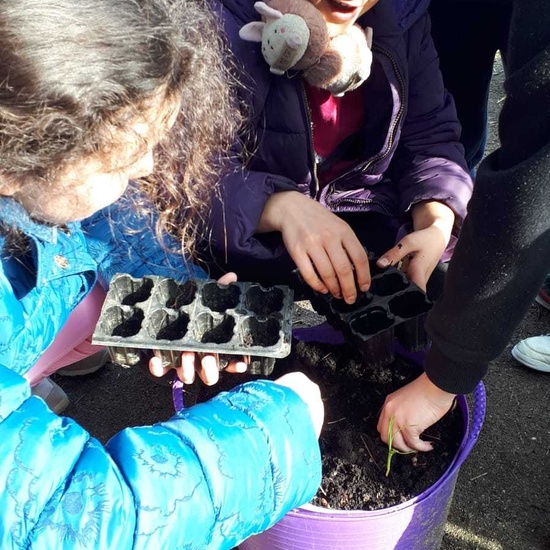 2020_02_13_4º planta en el huerto_CEIP FDLR_Las Rozas 10
