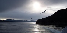 Gaviota, Parque de las Islas del Golfo, Victoria