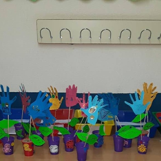 INVERNADEROS PARA LA PAZ 1