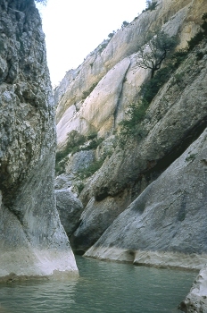 Remanso. Gorgas Negras