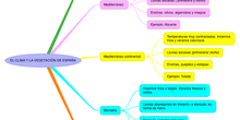 CS_EL CLIMA Y LA VEGETACIÓN DE ESPAÑA_6
