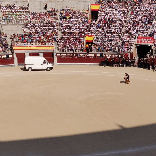 Las Ventas 2019 18